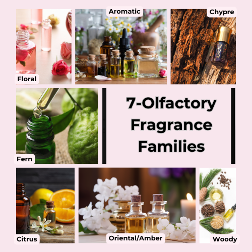 The 7 Olfactory Families of Fragrance
