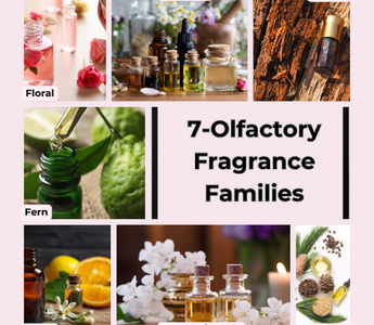 The 7 Olfactory Families of Fragrance