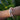 Emerald Eye Soft Panther Bracelet - Be in the Pink