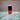 Le Vernis Longwear Nail Polish Signature Colors - Be in the Pink