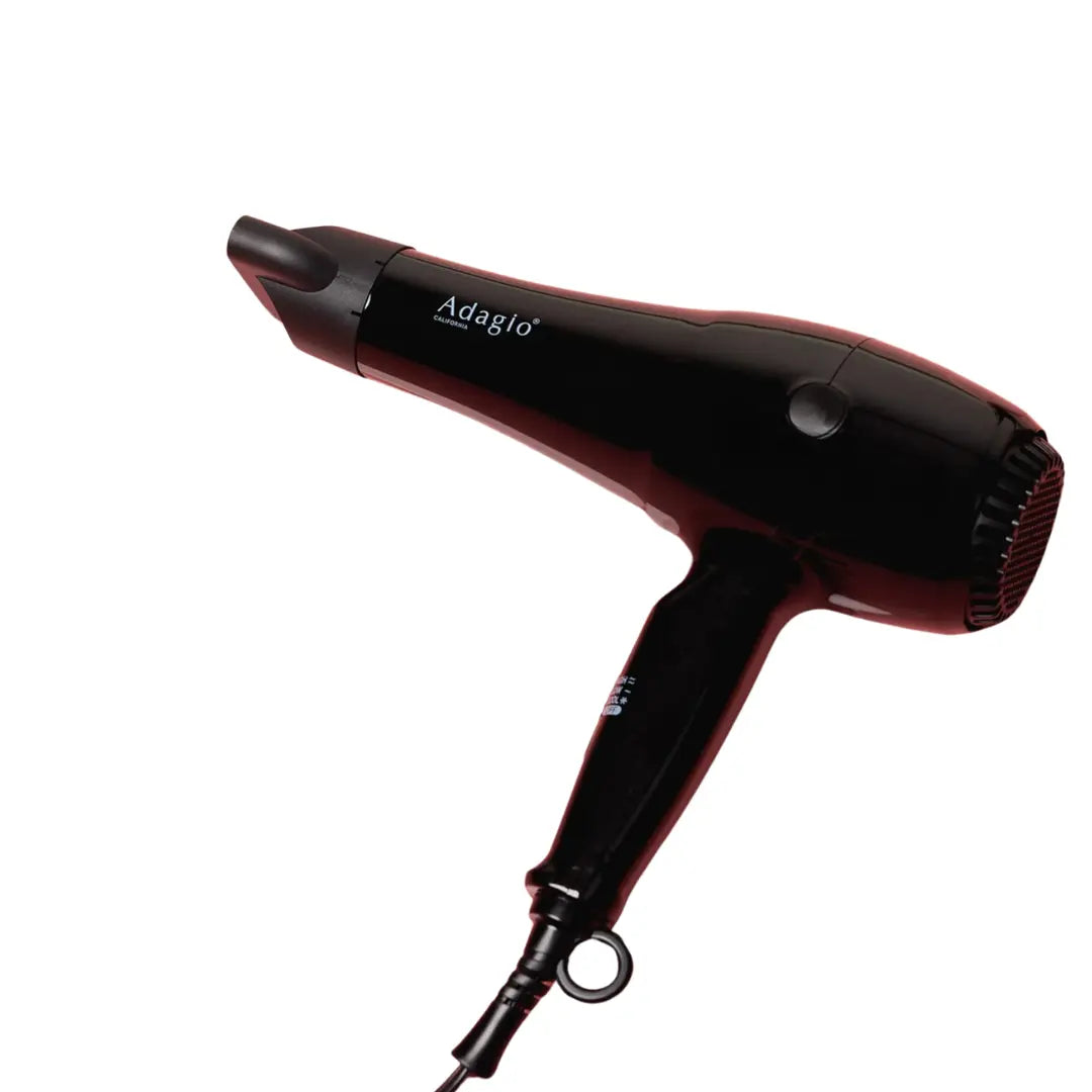 Professional 2500 Black Blow Dryer