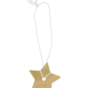 Dior Star Pendant - Be in the Pink