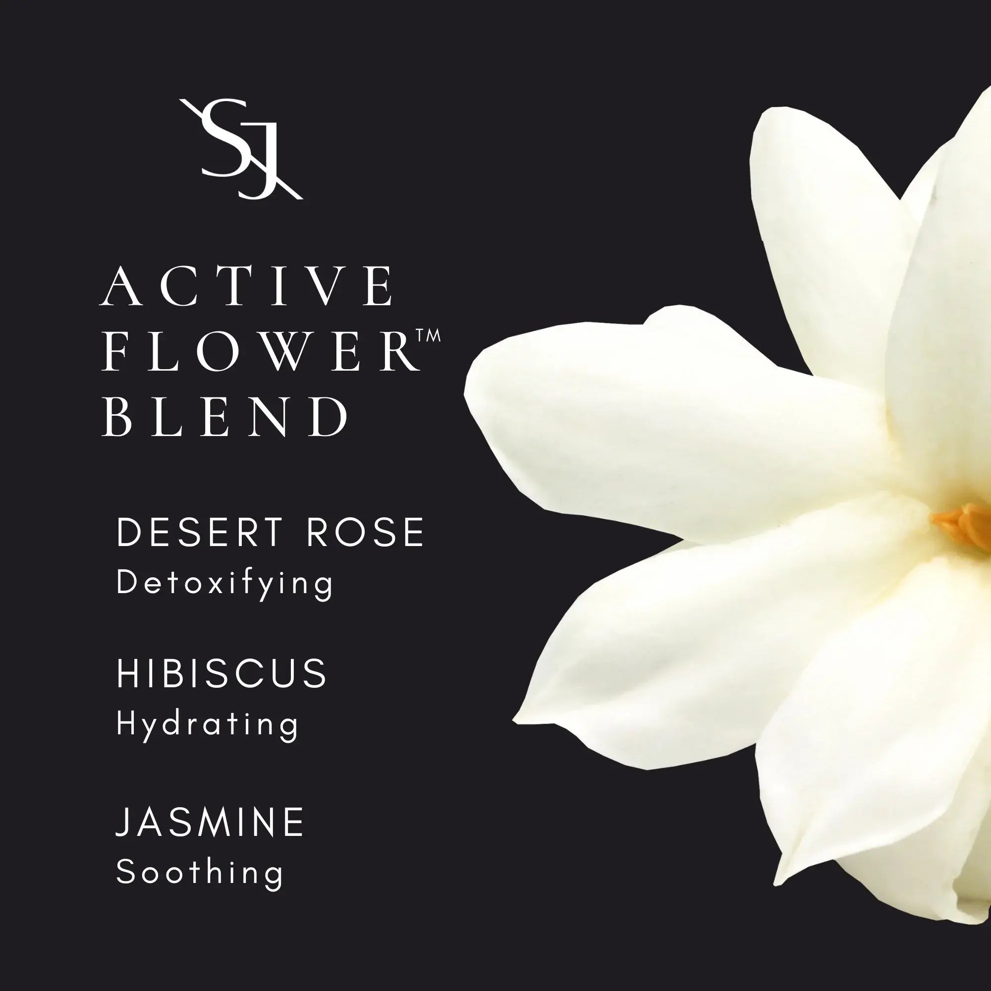 Luxury Sun Ritual Pore Smoothing Face Sunscreen SPF 30 - Be in the Pink